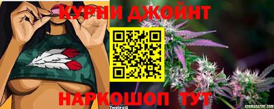 стаф Жуковский