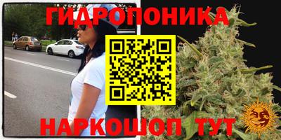 стаф Жуковский