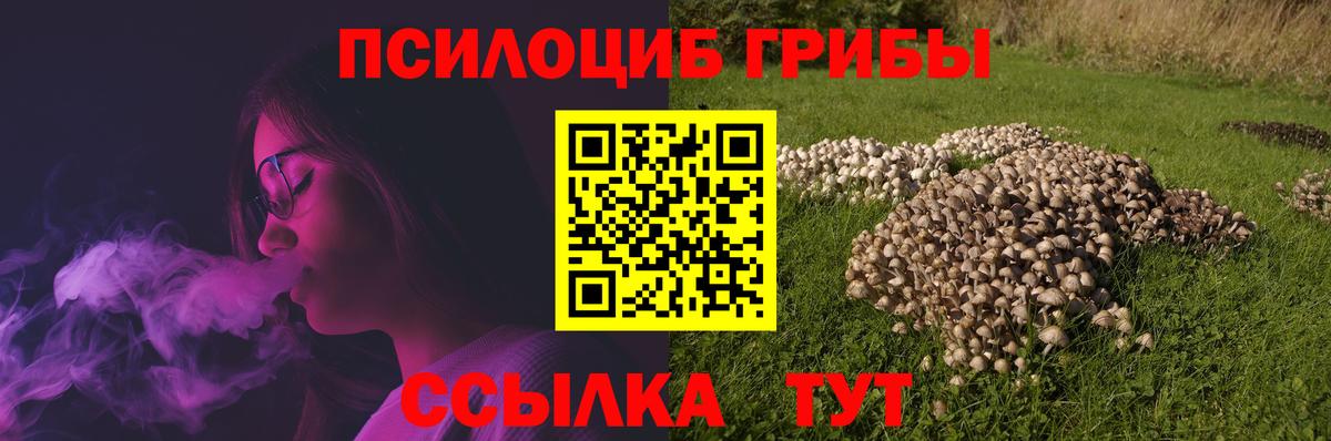 Мичуринск  Галлюциногенные грибы Psilocybine cubensis  Вход с VPN  Псилоцибиновые грибы прущие грибы 