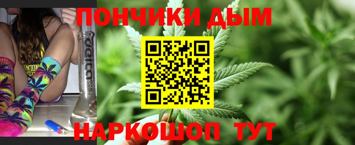 Каннабис семена  Конопля план  Конопля ГИДРОПОН  Вход с VPN  Мичуринск  МАРИХУАНА THC 21% 